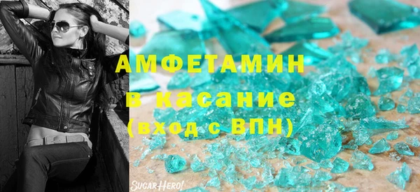 индика Весьегонск
