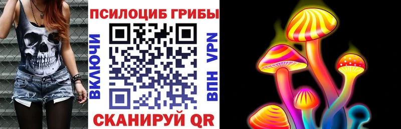 хочу   кракен зеркало  Псилоцибиновые грибы MAGIC MUSHROOMS  Галич 
